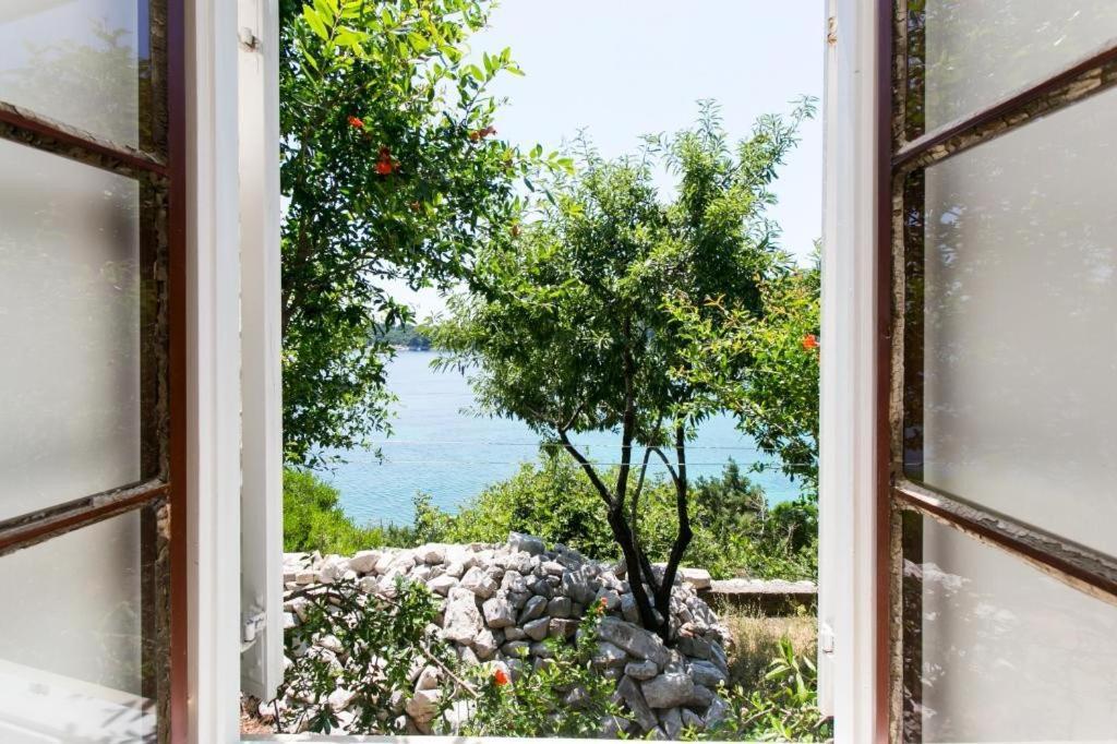 Guest House Simunovic スドゥラド エクステリア 写真